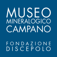 Museo Mineralogico Campano logo